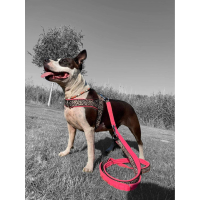 T tuig neon roze skull ster 